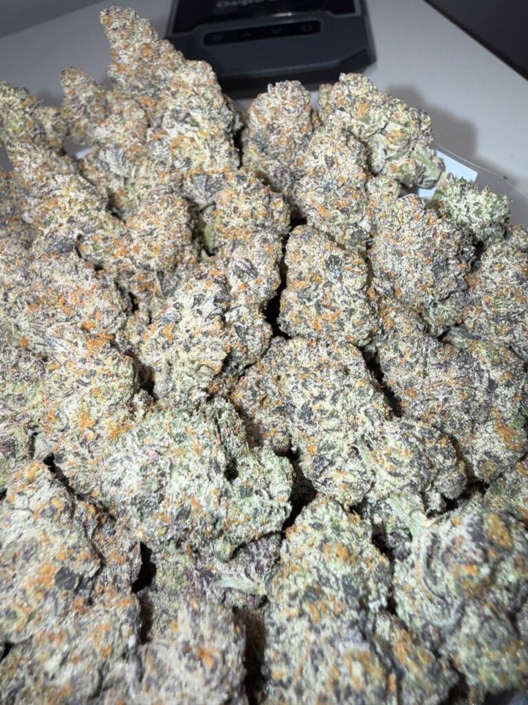 Buy quads in Canada, Premium Canadian gas, Toronto terp game, Best quad strains Canada