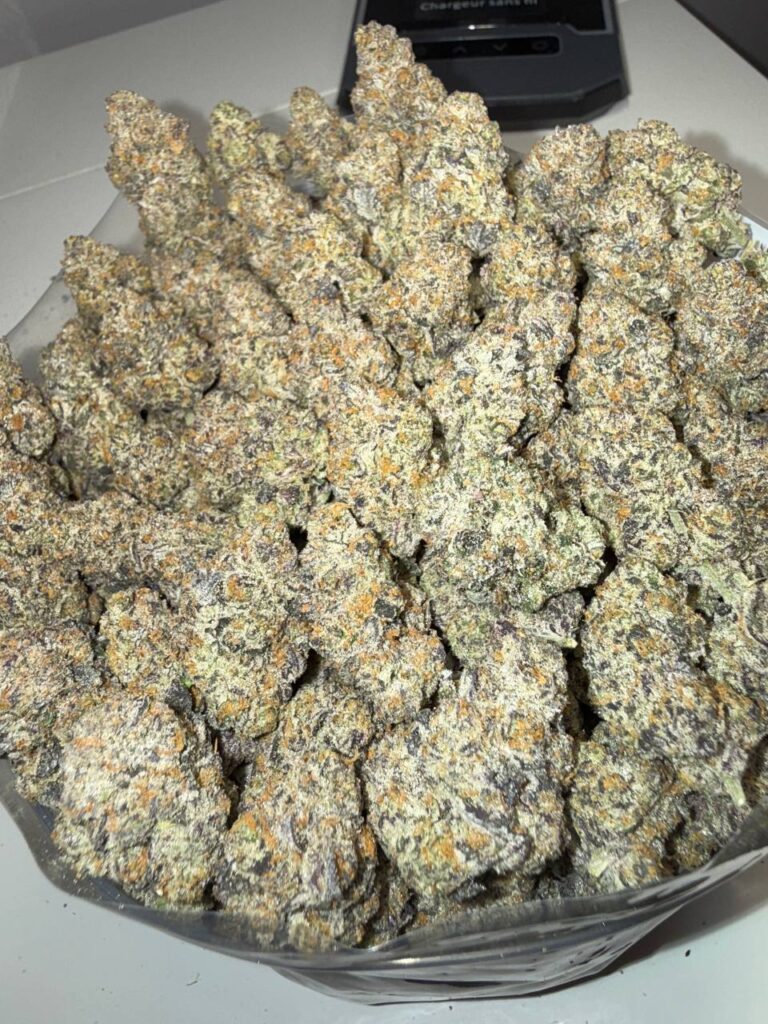 Buy quads in Canada, Craft cannabis delivery Ontario, Toronto terp game, Premium Canadian gas