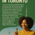 BUY WEED IN TORONTO, BUY WEED IN ONTARIO, BUY WEED IN MONTREAL, BUY WEED IN EDMONTON, BUY WEED IN VANCOUVER, BUY WEED IN BRAMPTON, BUY WEED IN OSHAWA, BUY WEED IN QUEBEC, BUY WEED IN CALGARY, BUY WEED IN BRANTFORD, BUY WEED IN MISSISSAUGA, BUY WEED IN PETERBOROUGH, BUY WEED IN WINNIPEG, BUY WEED IN KINGSTON, BUY WEED IN HAMILTON, BUY WEED IN BARRIE, BUY WEED IN KITCHENER, BUY WEED IN THUNDER BAY, BUY WEED IN NORTH BAY, BUY WEED IN VICTORIA, BUY WEED IN BELLEVILLE